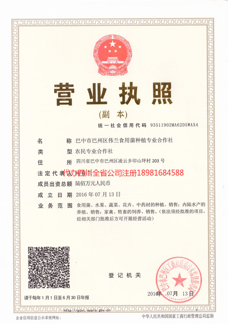 阜阳阜阳伟兰食用菌种植专业合作社